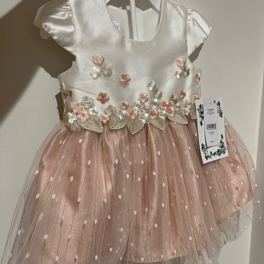 Iris and Ivy dress